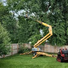 Best Seasonal Cleanup (Spring/Fall)  in Goldens Bridge, NY