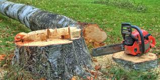 Best Hazardous Tree Removal  in Goldens Bridge, NY